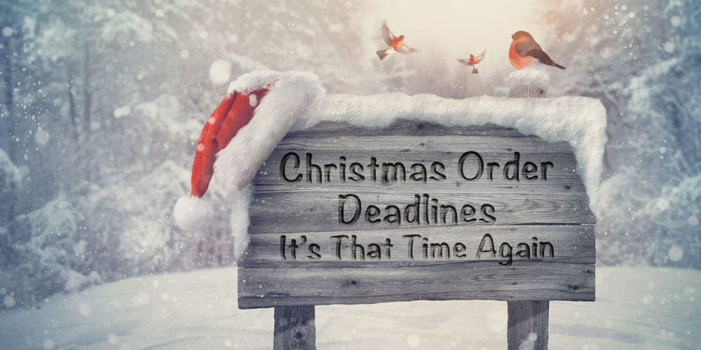 lifethreads albums Christmas 2016 order deadlines