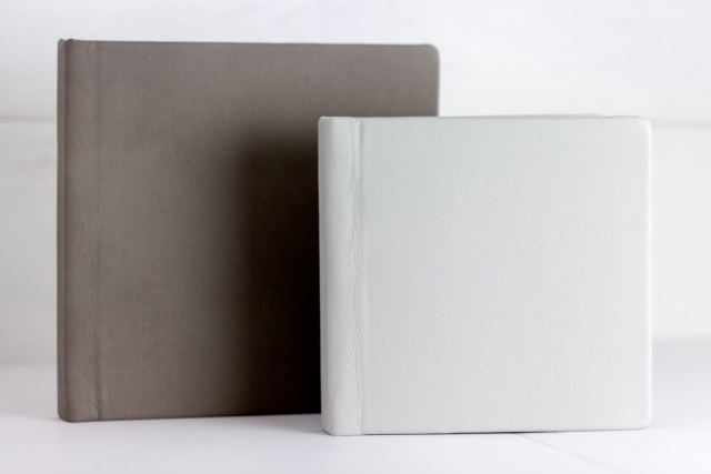 storm 12x12 & silver dollar 10x10 full grain leather | lifethreads albums by D&R Photo