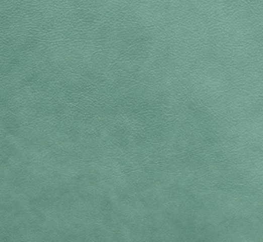 SeaFoam Full Grain Leather cover material by lifethreads albums