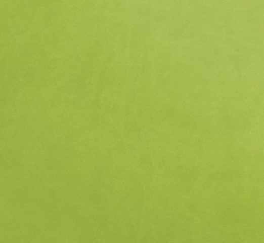 Green Apple Synthetic (Eco) Leather cover material by lifethreads albums