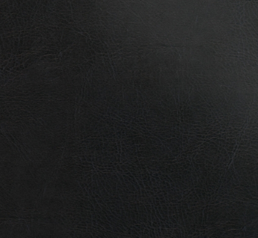 Raven (black) Synthetic (Eco) Leather cover material by lifethreads albums